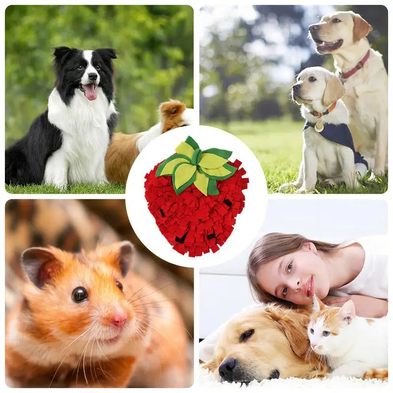 Pet Sniffing Mat Snuffle Toys For Dogs