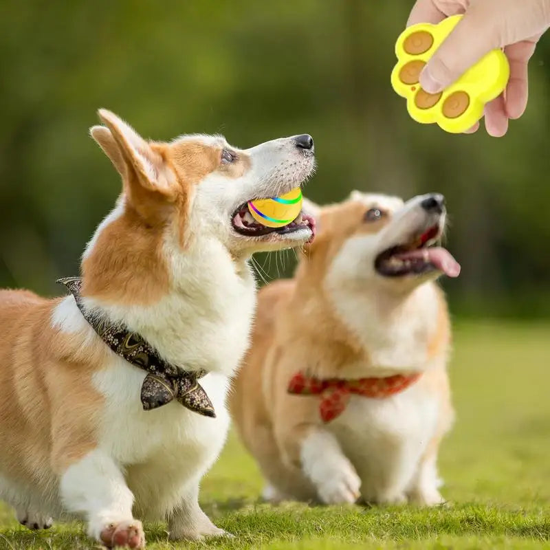 Smart Dog Ball Toy Bite-resistant