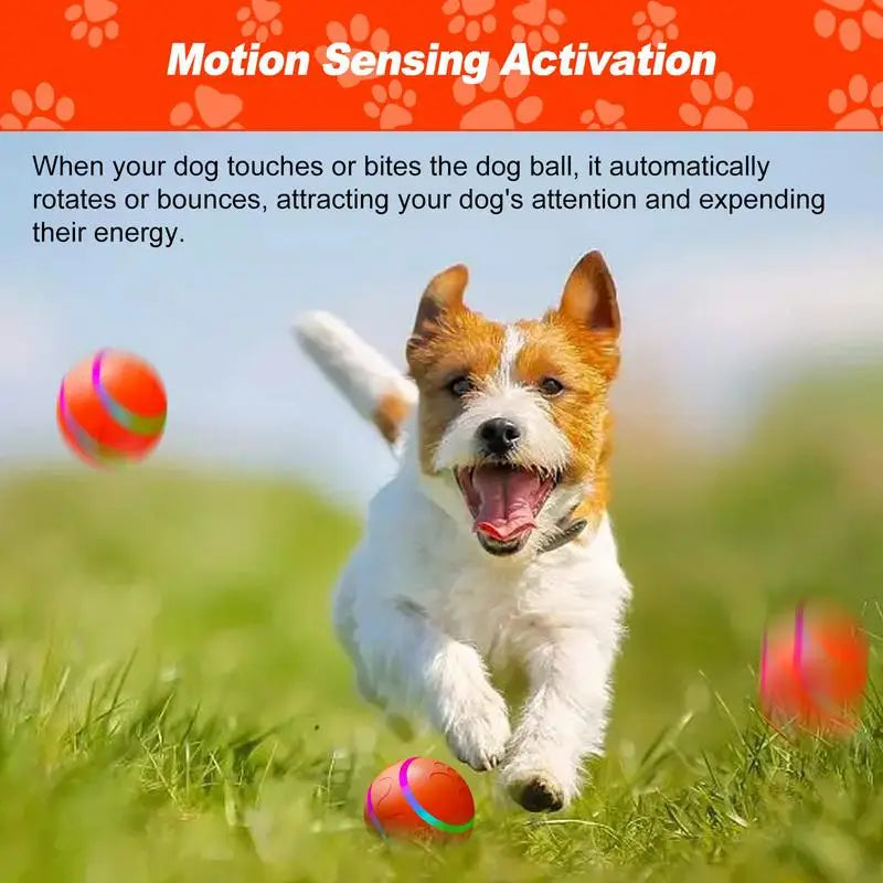 Smart Dog Ball Toy Bite-resistant